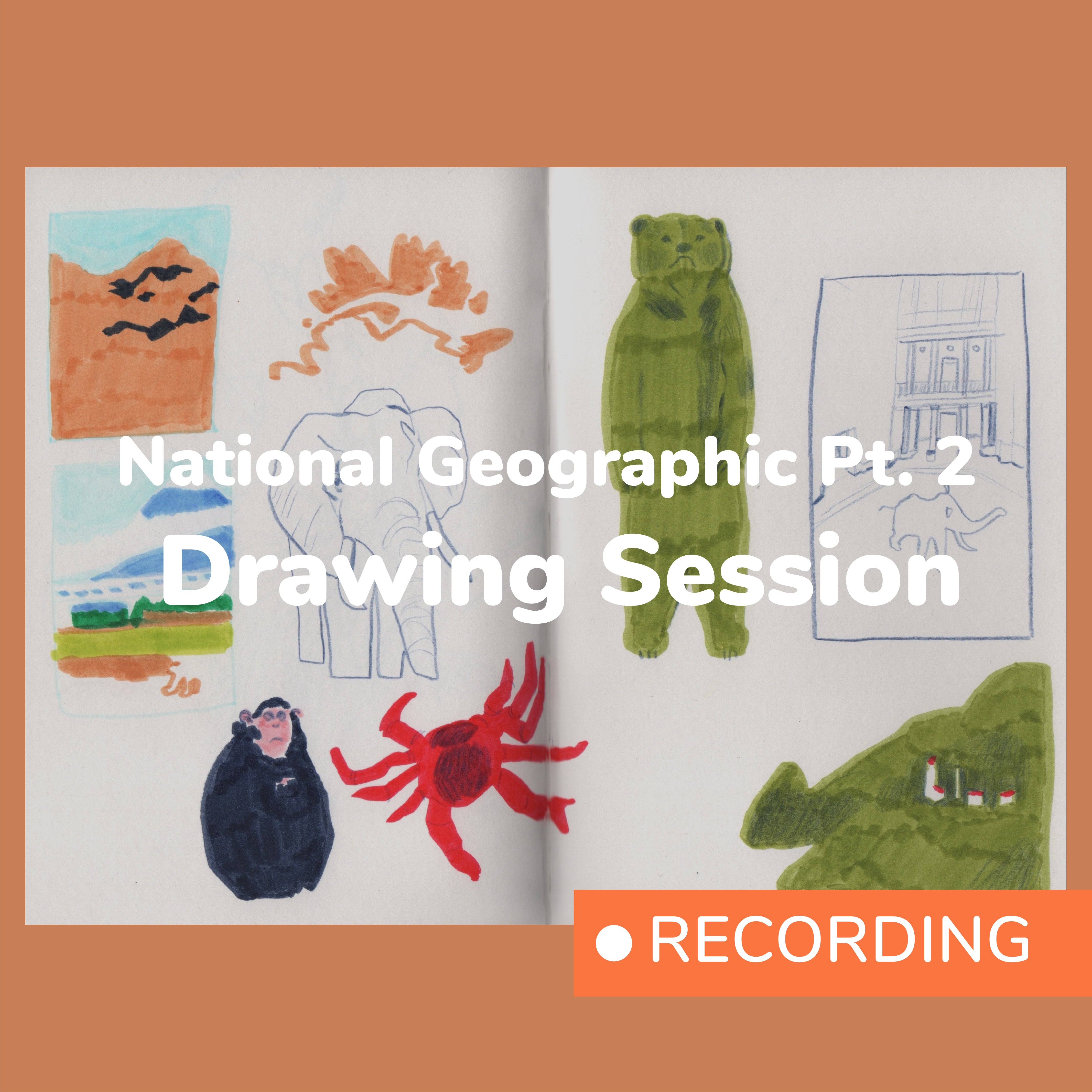RECORDING: National Geographic Pt. 2 Drawing Session – Odd Orange