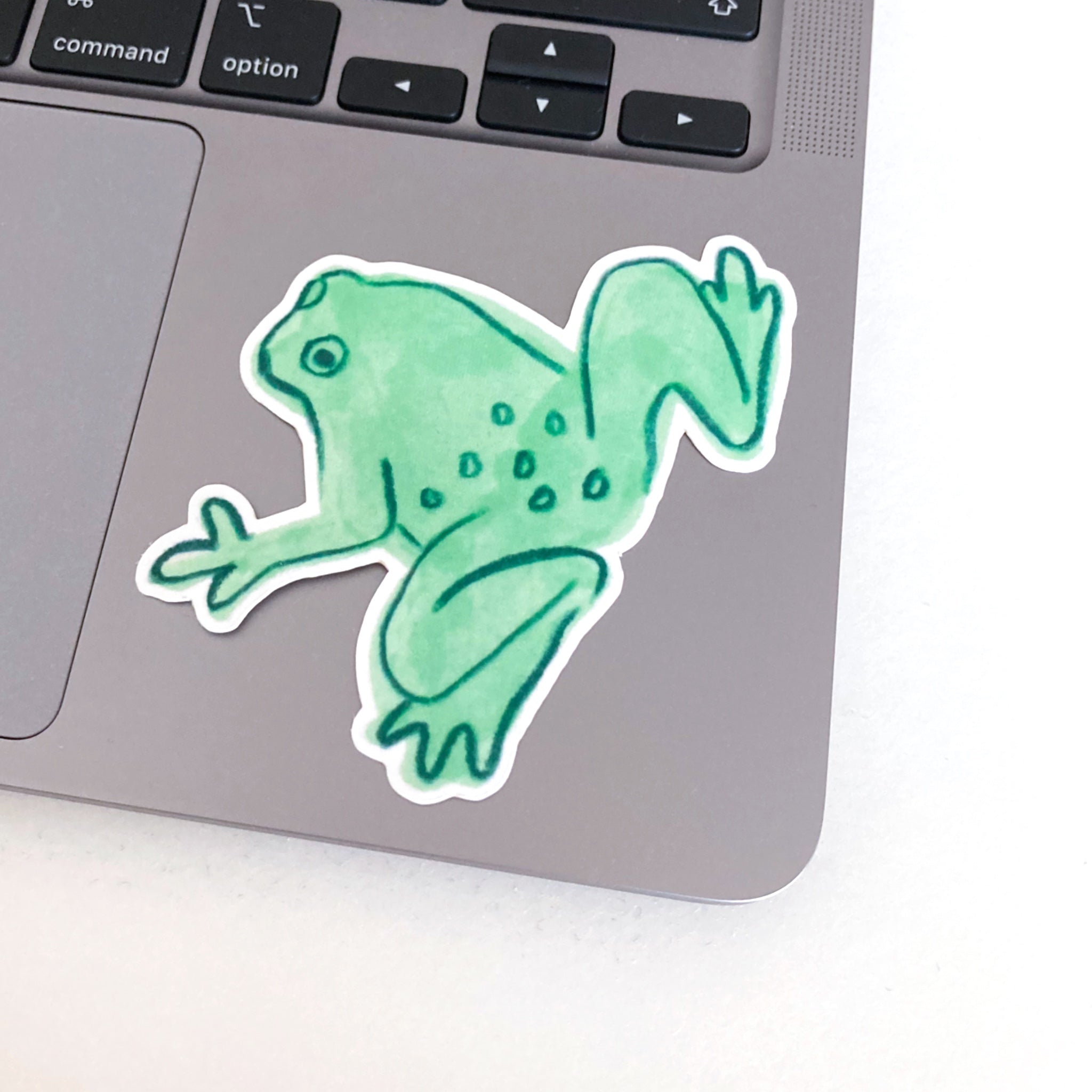 Frog laptop sticker